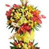 Đại Cát Đại Lợi 2