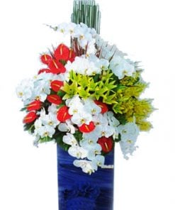 Phát Triển Bền Vững 2