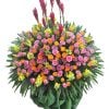 Tiến Bước Thuận Lợi
