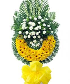 Hai Thế Giới
