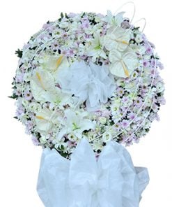 Miền Cực Lạc
