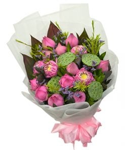 Sức Sống Mới