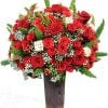 Red Roses