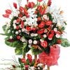 Sự Nghiệp Tấn Tới
